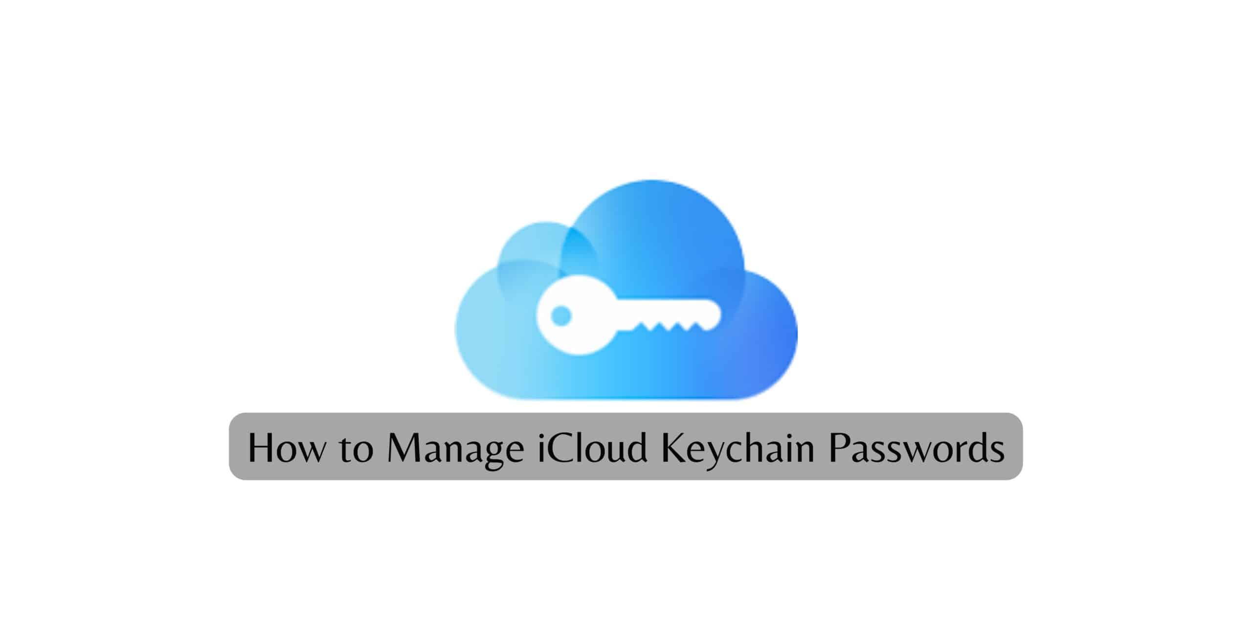 How to Manage iCloud Keychain Passwords